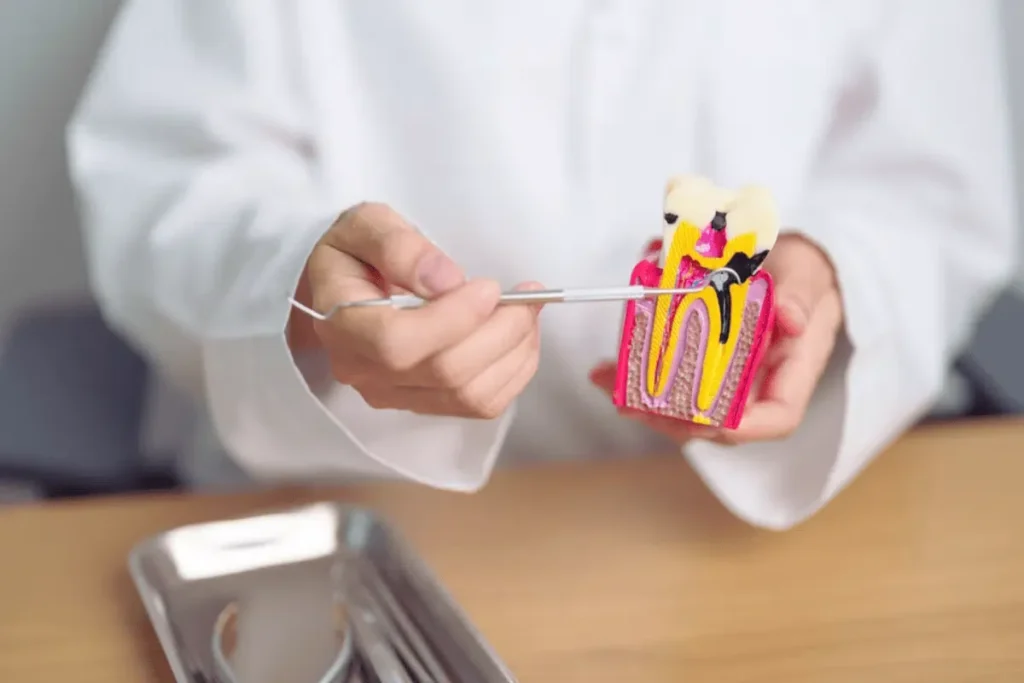 The First Signs of Wisdom Teeth Coming In